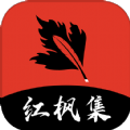 深夜直播APP应用